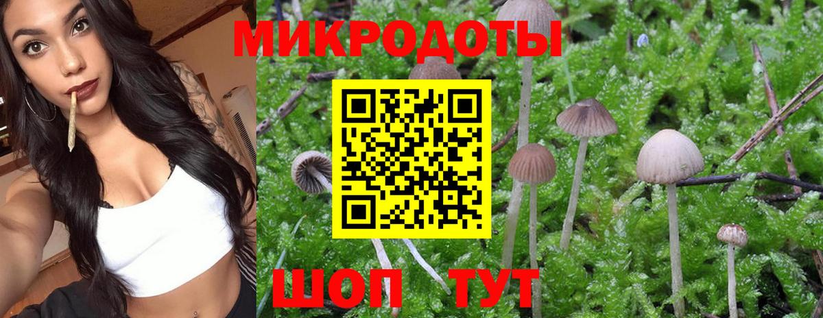 Галлюциногенные грибы GOLDEN TEACHER Вологда