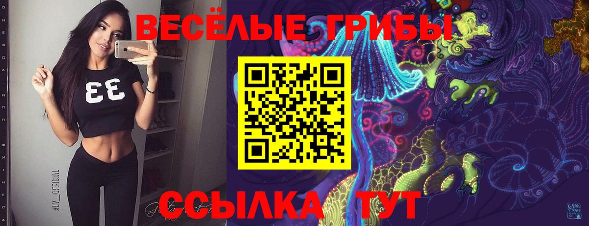 Вологда  Псилоцибиновые грибы GOLDEN TEACHER  Вход с VPN 